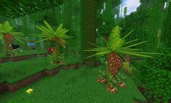 VietNam Delight screenshot