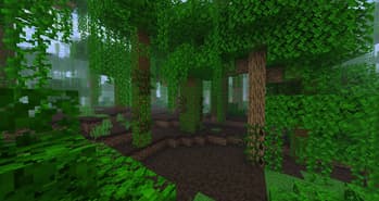 VietNam Delight screenshot