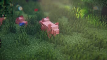 [EMF] Entity Model Features screenshot