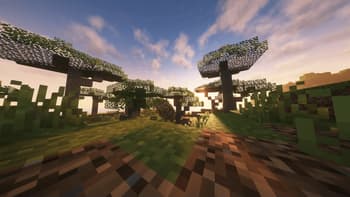 A Shared Experience screenshot