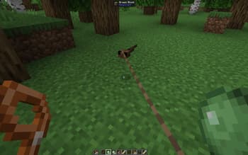SpaceFrog's Pet Tadpoles screenshot
