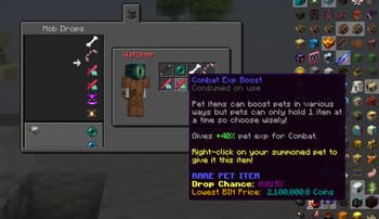Hypixel SkyBlock RPG ++ screenshot