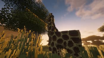 Re:Animal screenshot