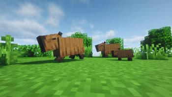 Re:Animal screenshot