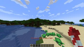 Disable Elytra Outside The End screenshot