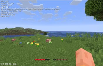 Clean HUD screenshot