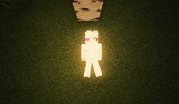 Sable: Ragdoll - Patch screenshot