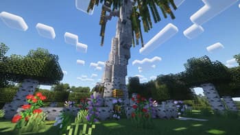 Big Birch Tree screenshot