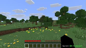 Simple Sprint Display HUD screenshot