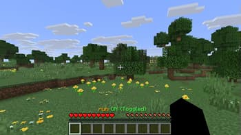 Simple Sprint Display HUD screenshot