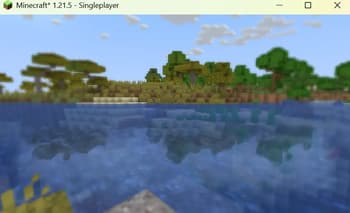 Enhanced Vision screenshot