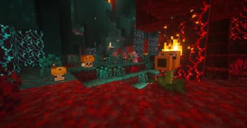 Plants & Zombies screenshot