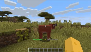 TargetLock screenshot