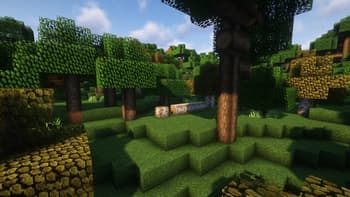 Expanded World screenshot