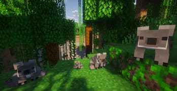 Koalas and eucalyptus screenshot