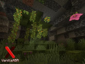 VanillaXBR screenshot