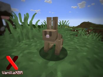 VanillaXBR screenshot
