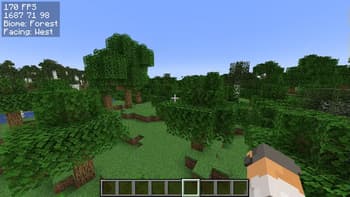 Simple Info Display screenshot