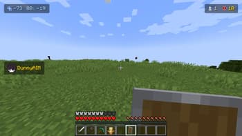 QuickHud screenshot