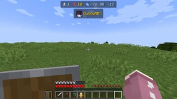 QuickHud screenshot