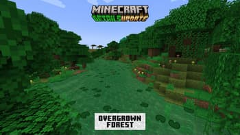 Details Update Mod screenshot