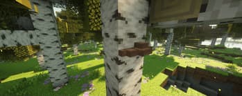 Better Birch Forest screenshot