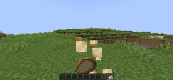 Enhanced Vanilla+ screenshot