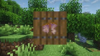 Handcrafted Elytra screenshot