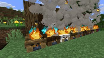 Beautiful Campfires screenshot