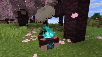 Beautiful Campfires screenshot