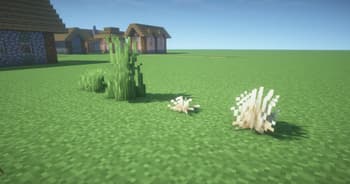 LushGlow screenshot