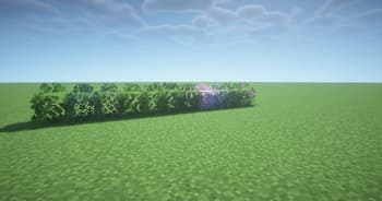 LushGlow screenshot