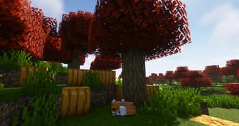 Decent Biomes screenshot