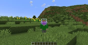 3D End Crystal screenshot
