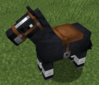 Consistent Saddle Color screenshot