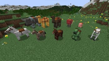 Consistent Saddle Color screenshot