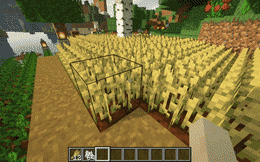 vane screenshot