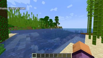 Perspective screenshot