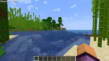 Perspective screenshot