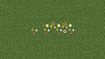 Wonderful Wildflowers screenshot