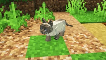 Better Cats! screenshot