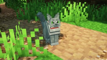 Better Cats! screenshot