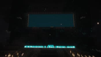 WildLight screenshot