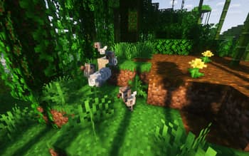 Marvelous Menagerie (DISCONTINUED) screenshot
