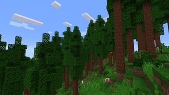Wild Aside screenshot
