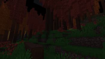 Wild Aside screenshot