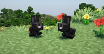 Rabbit Remodel By Blond screenshot