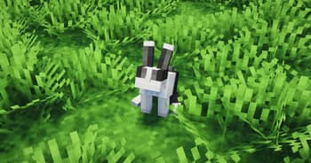 Rabbit Remodel By Blond screenshot