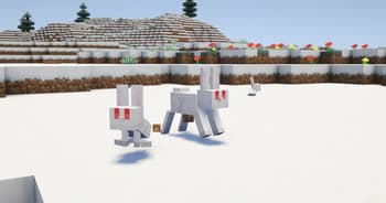 Rabbit Remodel By Blond screenshot