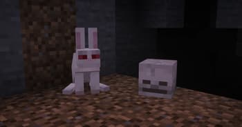 Rabbit Remodel By Blond screenshot